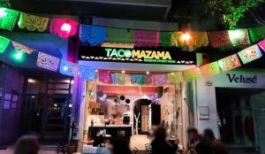 Taco Mazama